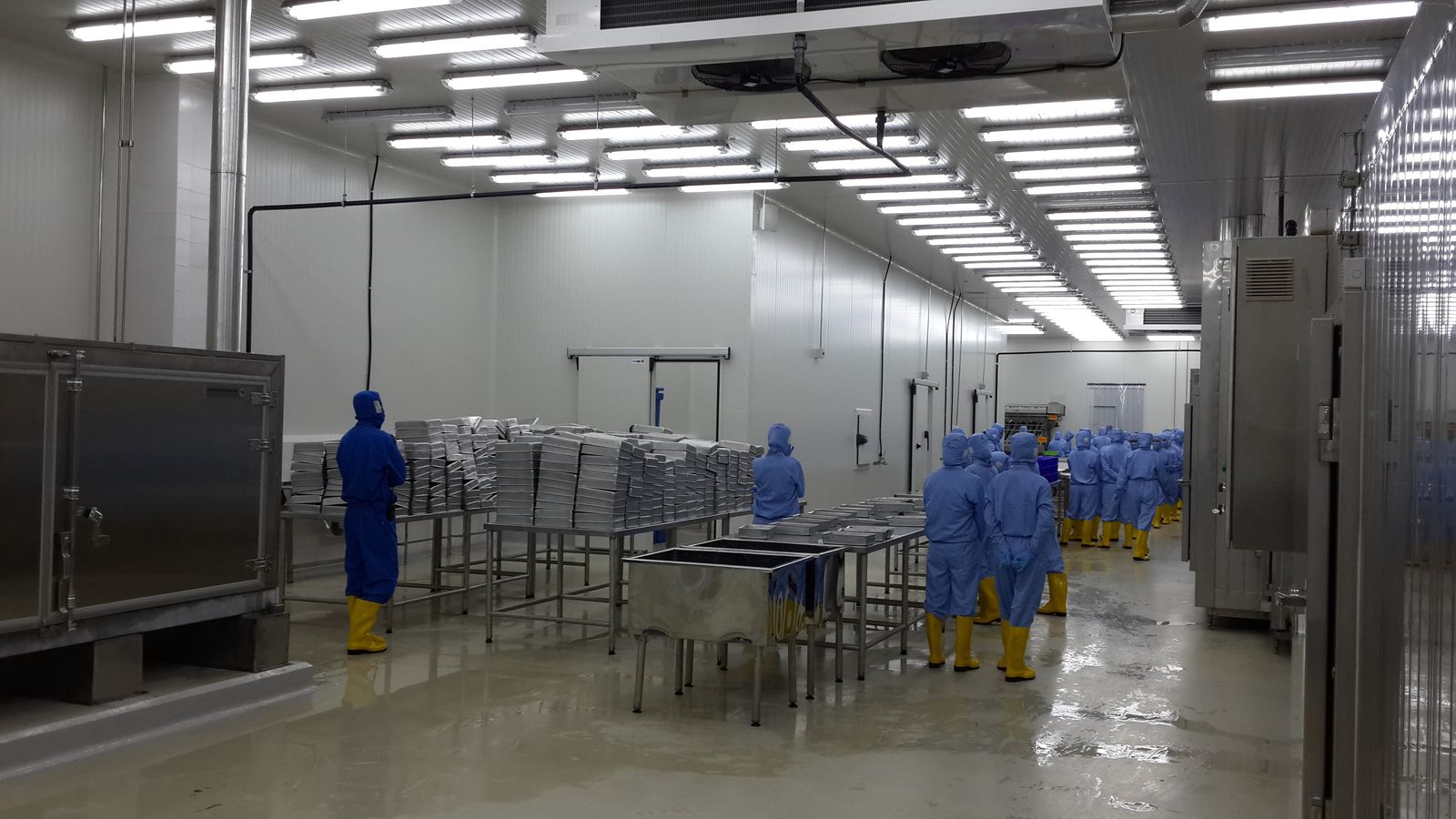 AJM engineers preparing a blast-freezer plant room