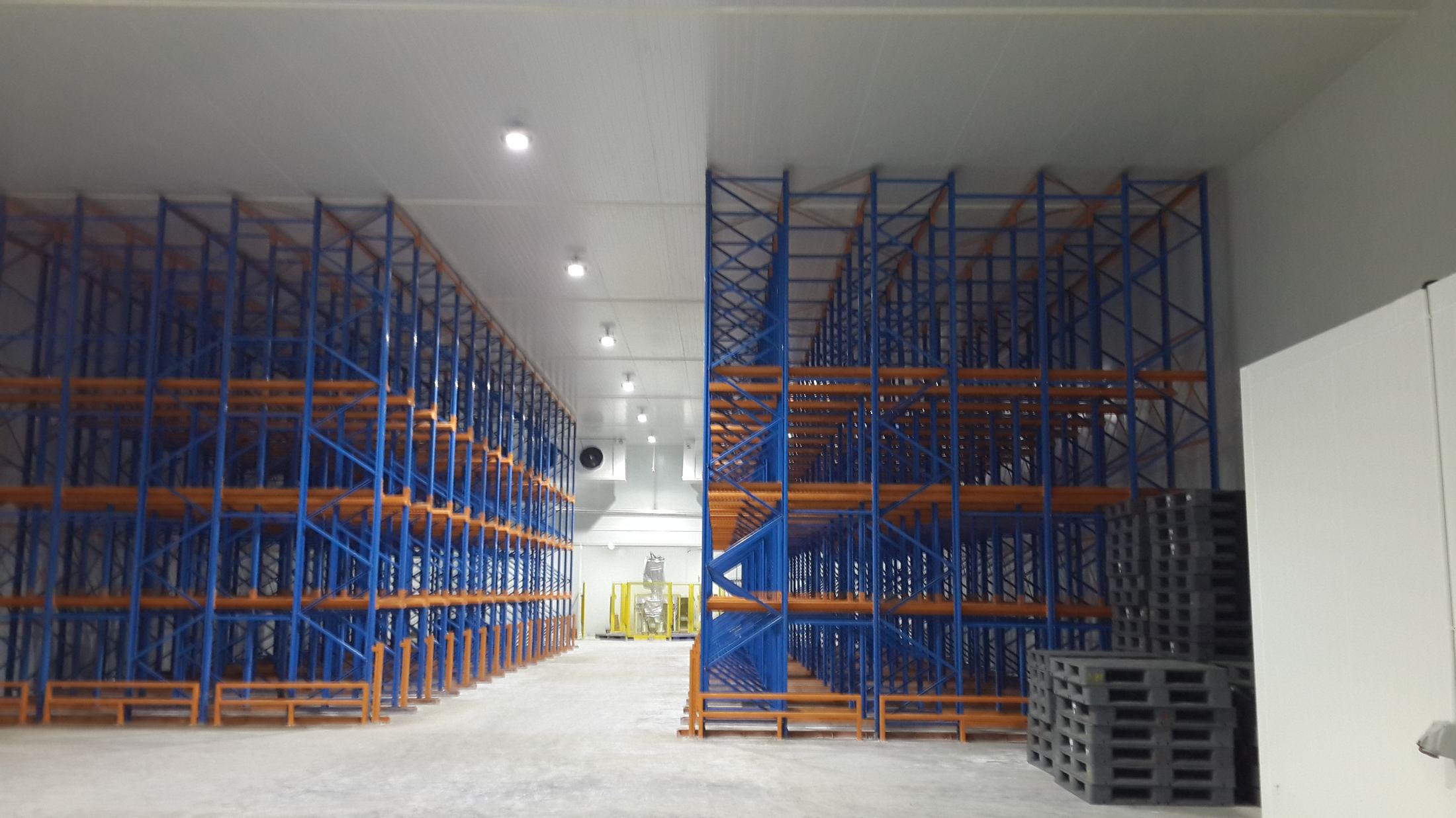 Interior of an AJM-engineered cold storage racking facility