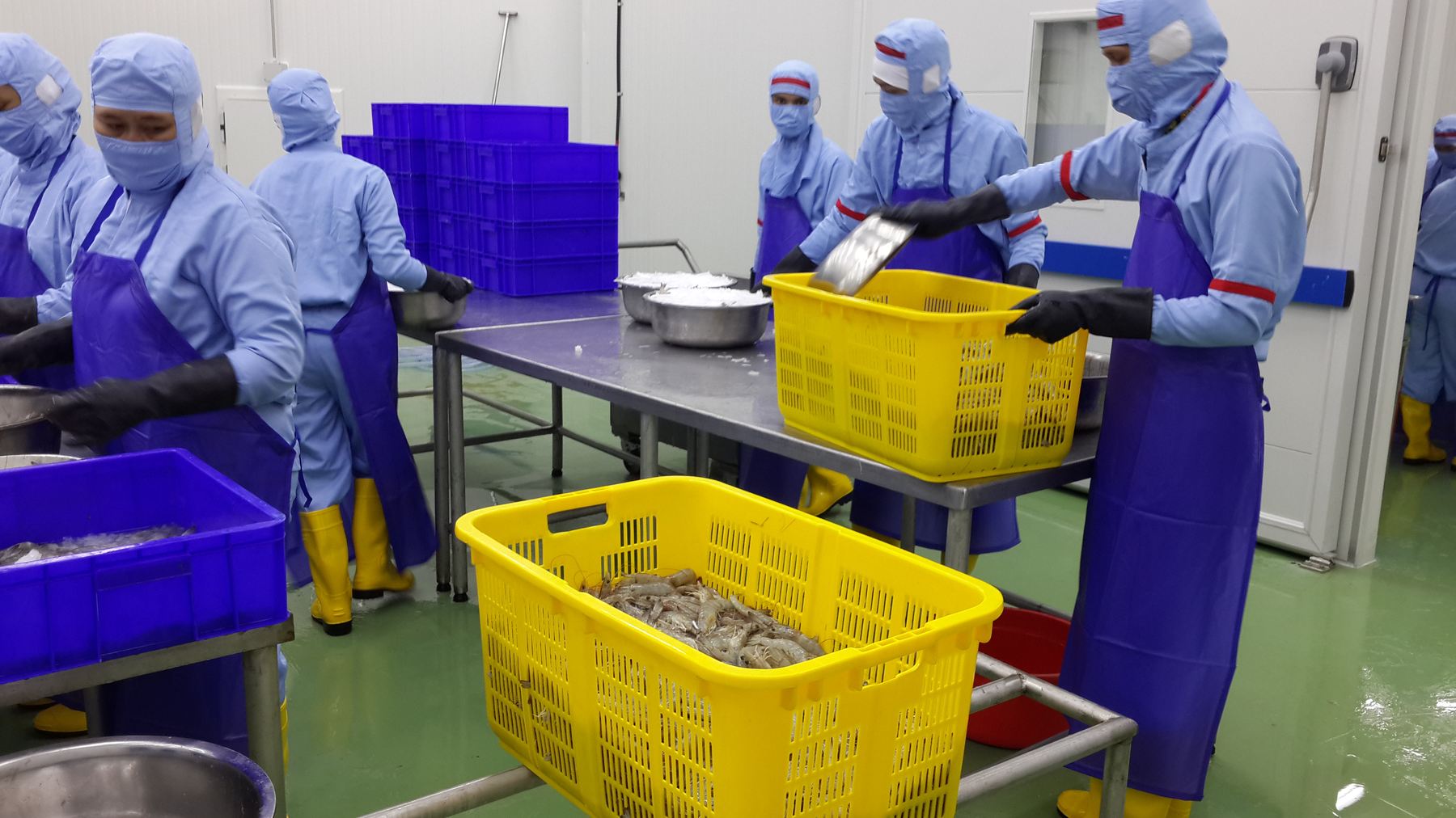 Workers processing seafood in a cold production facility