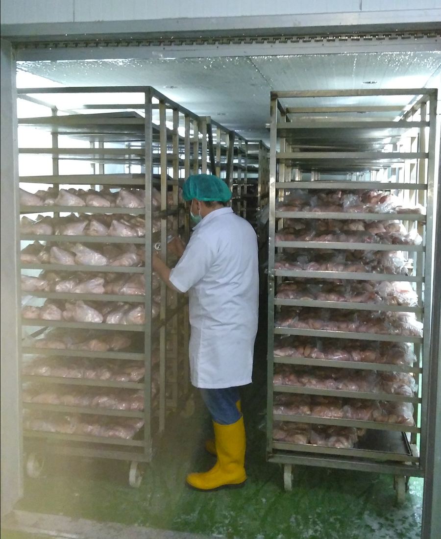 Air blast freezer plant