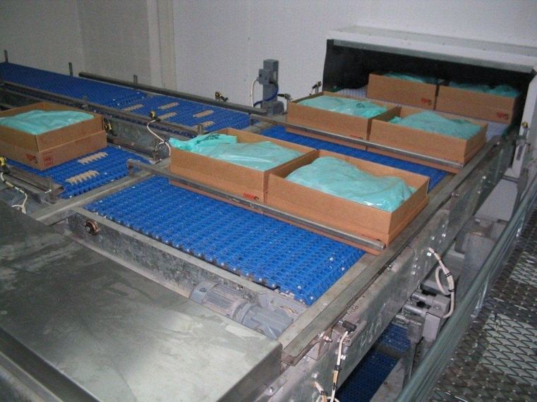 Tunnel freezer