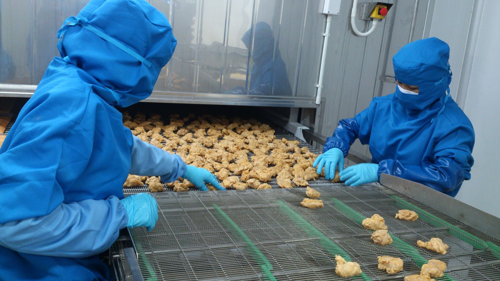 Workers operating a tunnel freezer line
